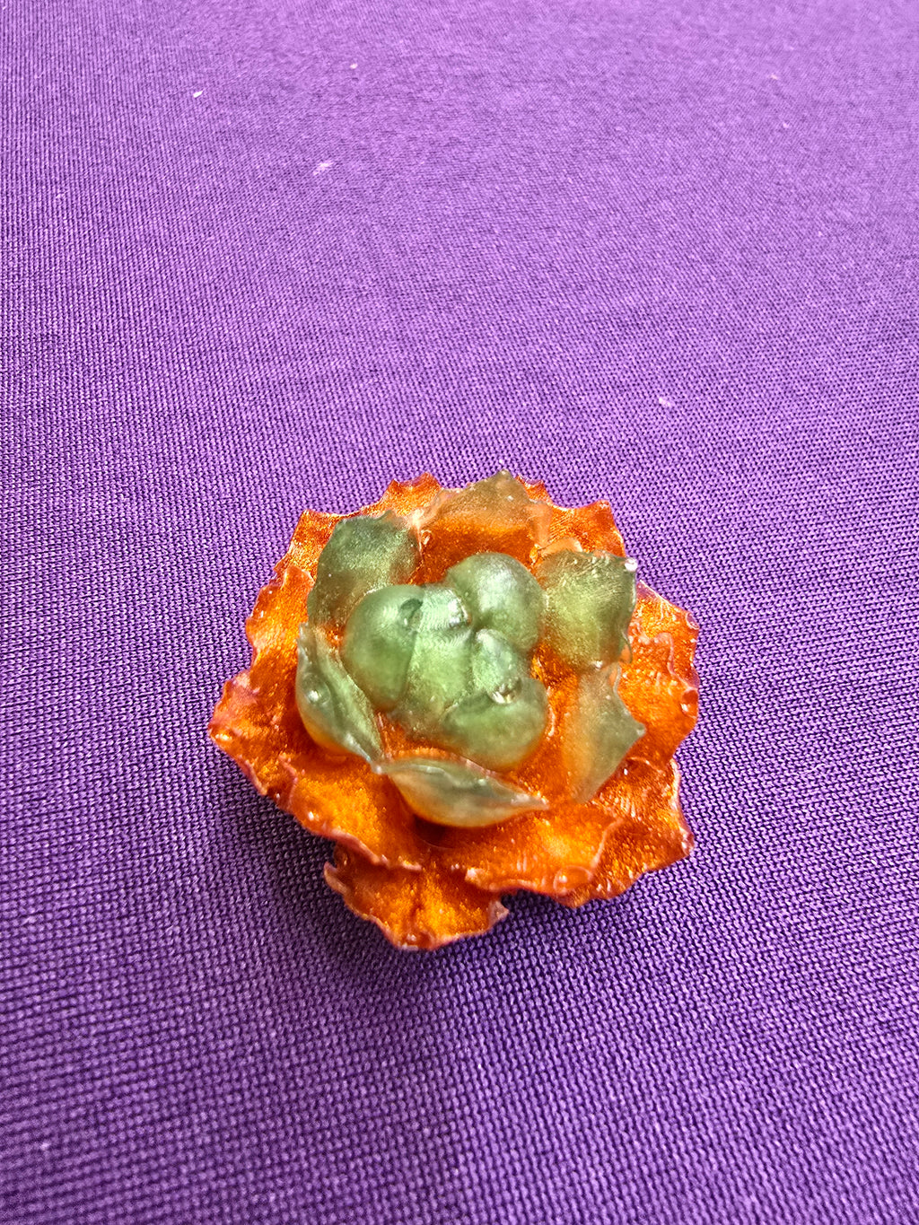 Succulent large