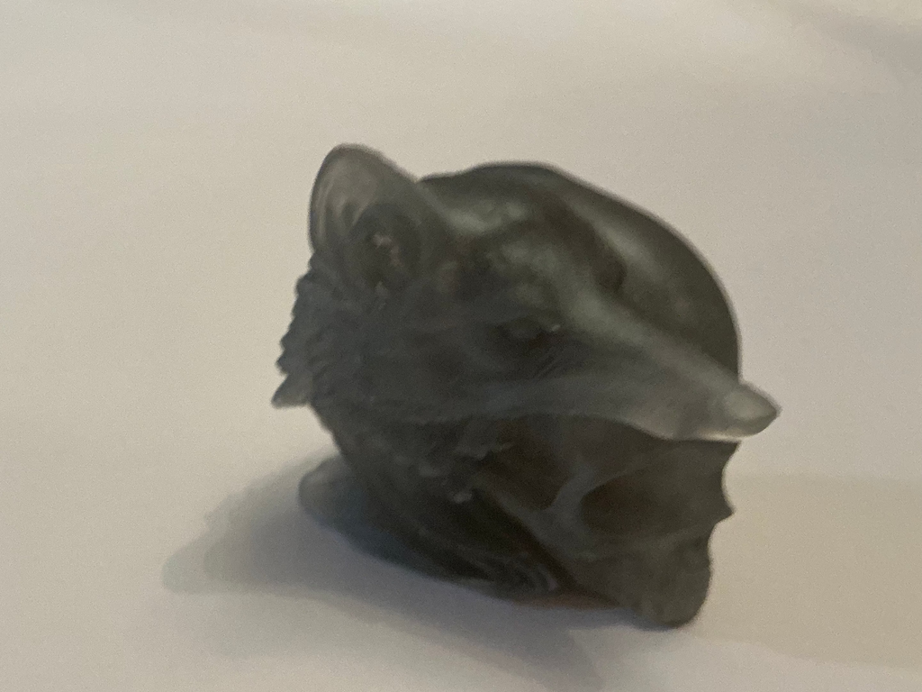 Wolf skull