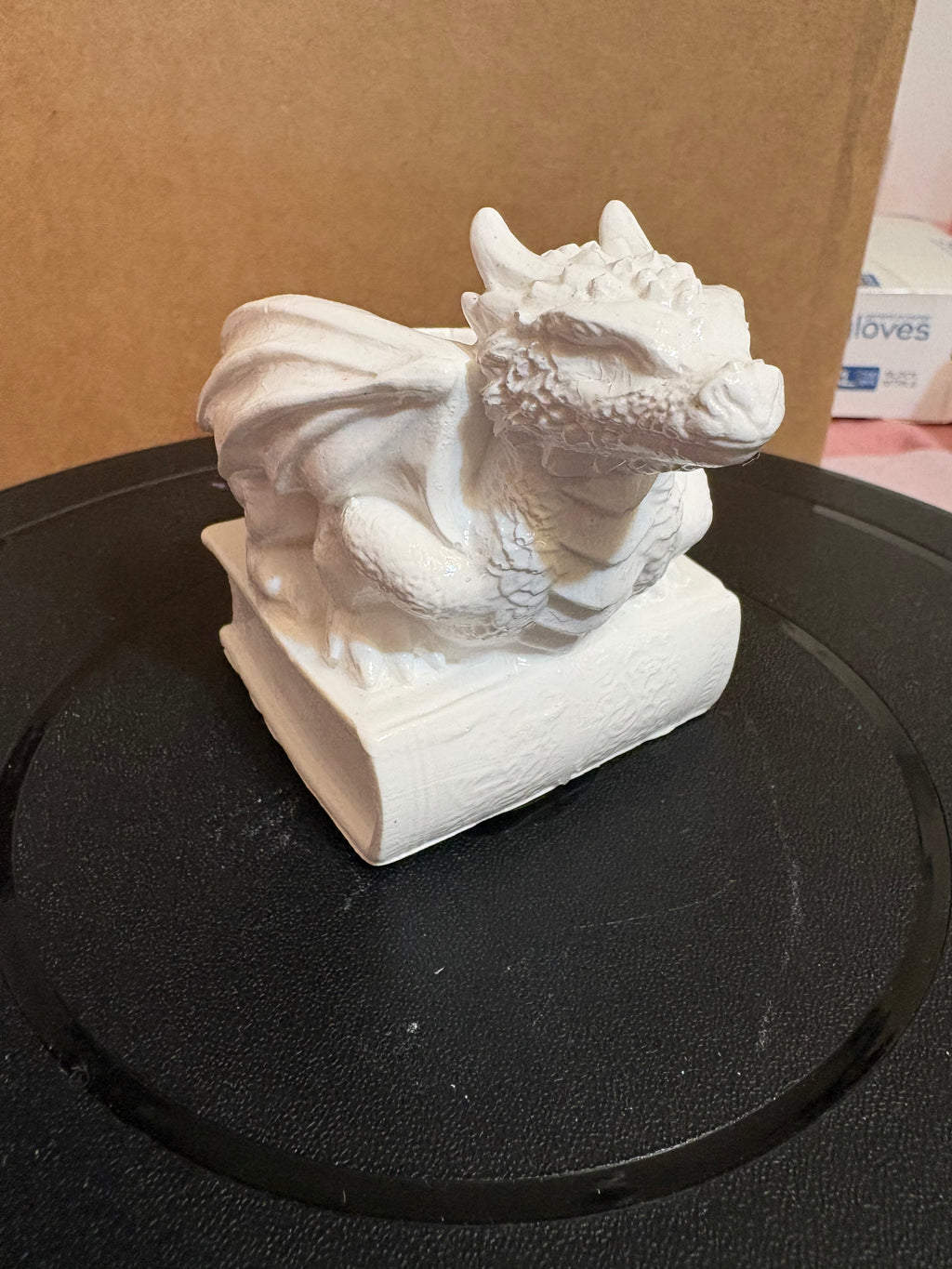Dragon on book