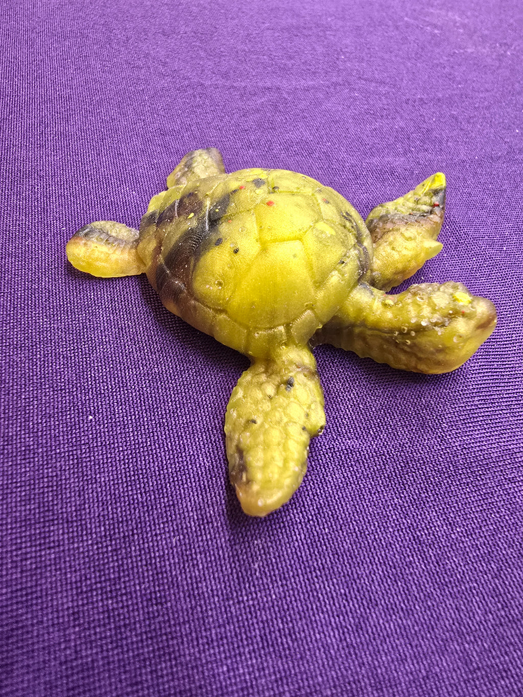 Small Sea Turtle