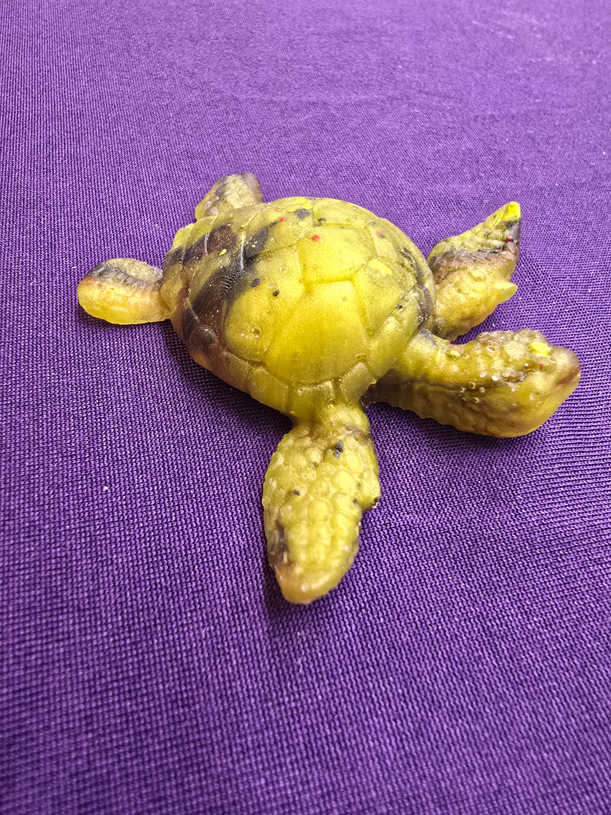 Small Sea Turtle