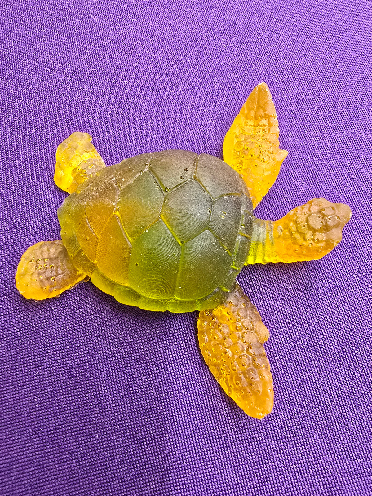 Small Sea Turtle