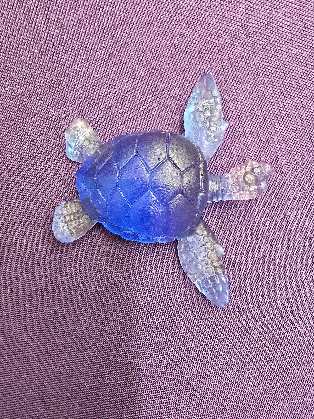 Small Sea Turtle
