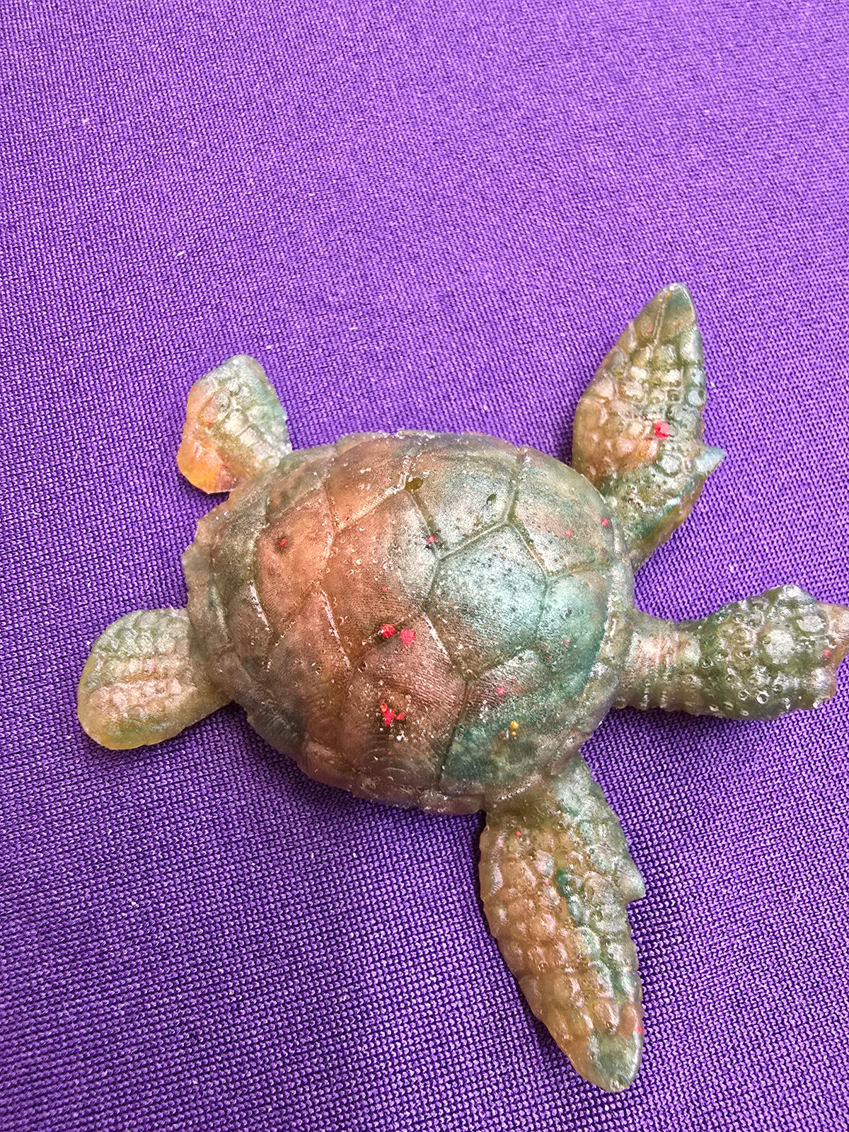 Small Sea Turtle