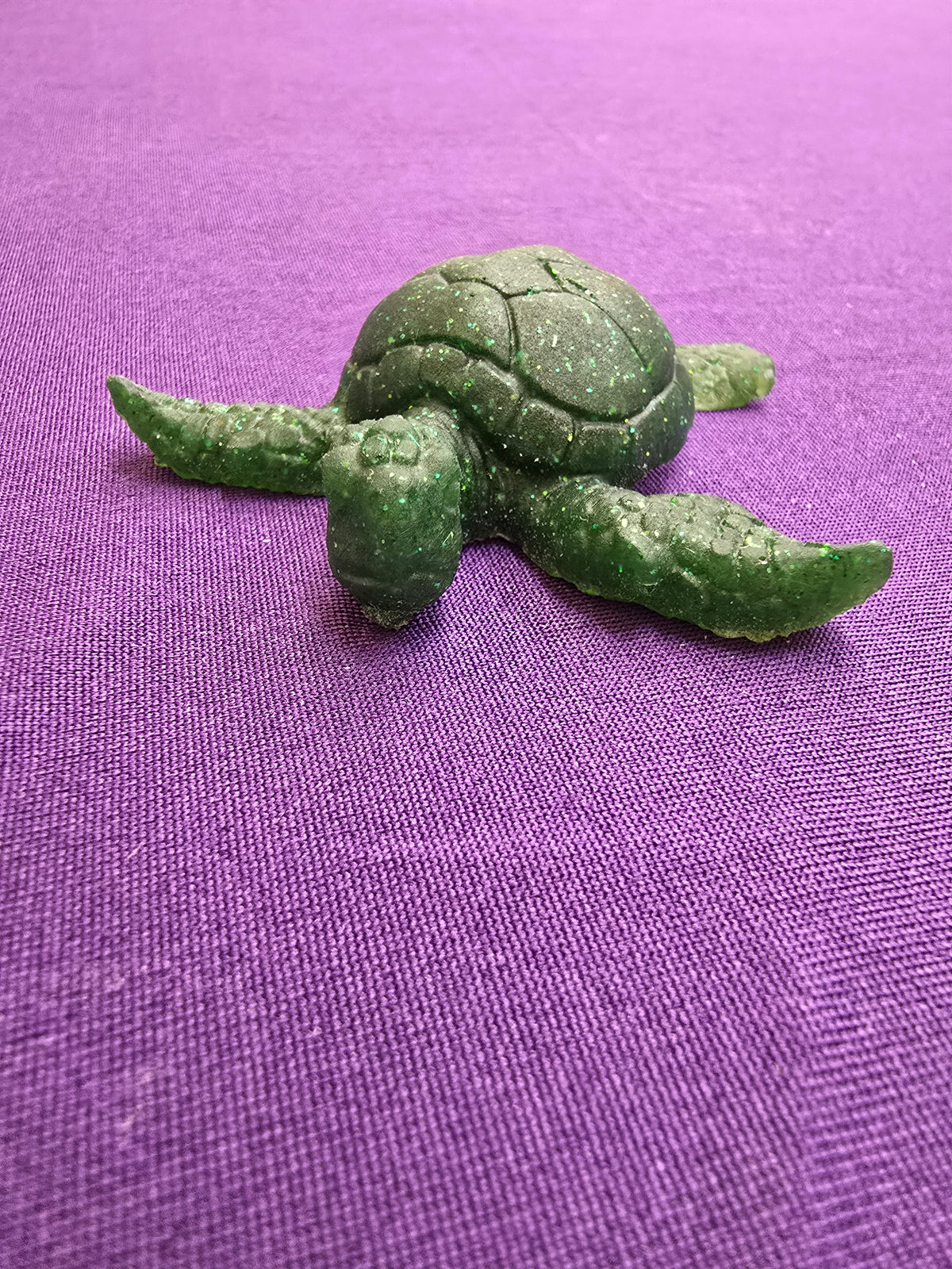 Small Sea Turtle