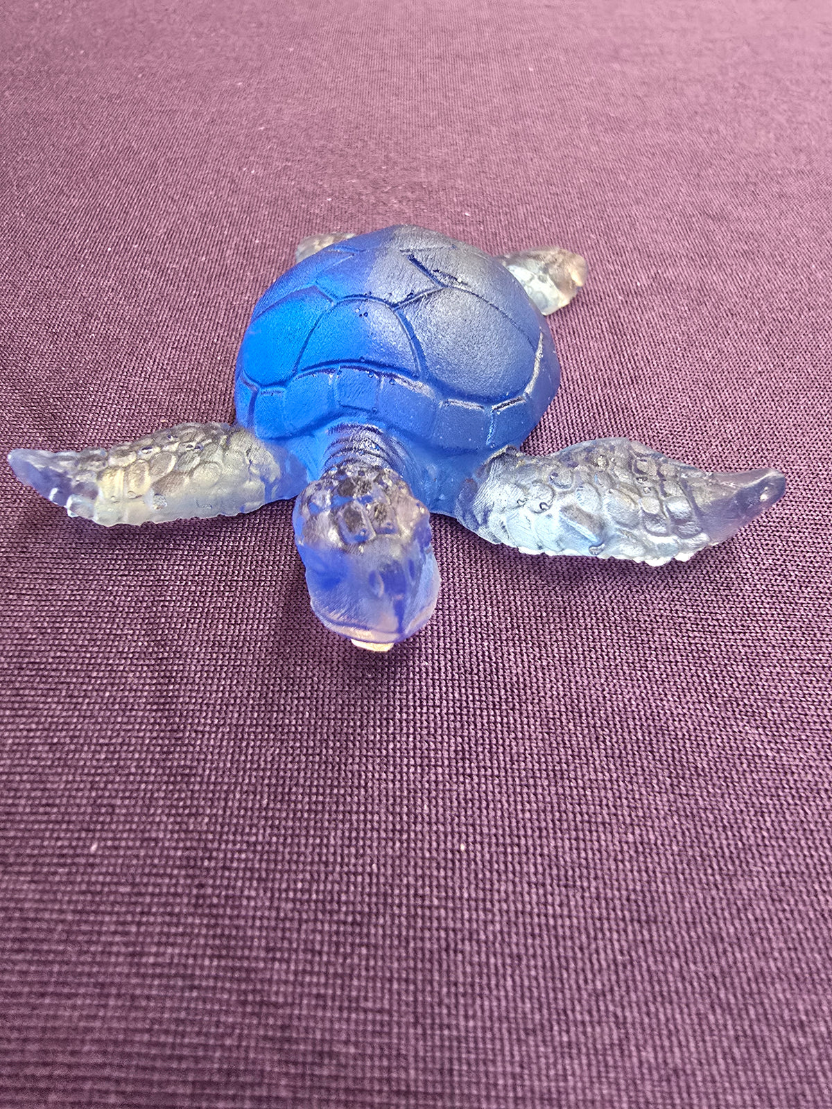 Small Sea Turtle