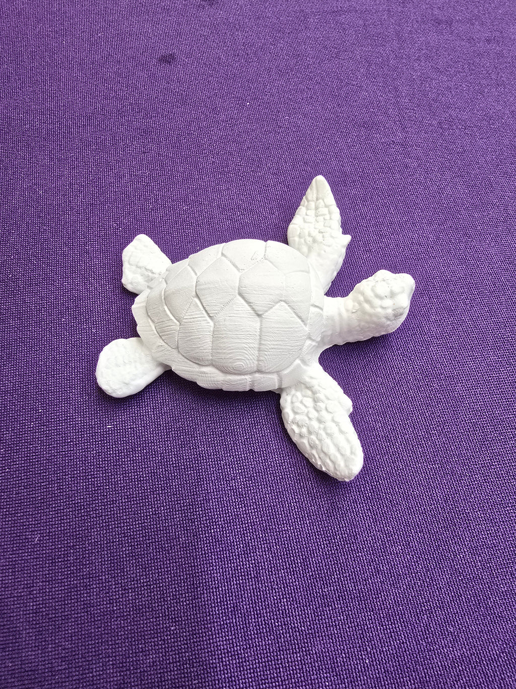 Small Turtle