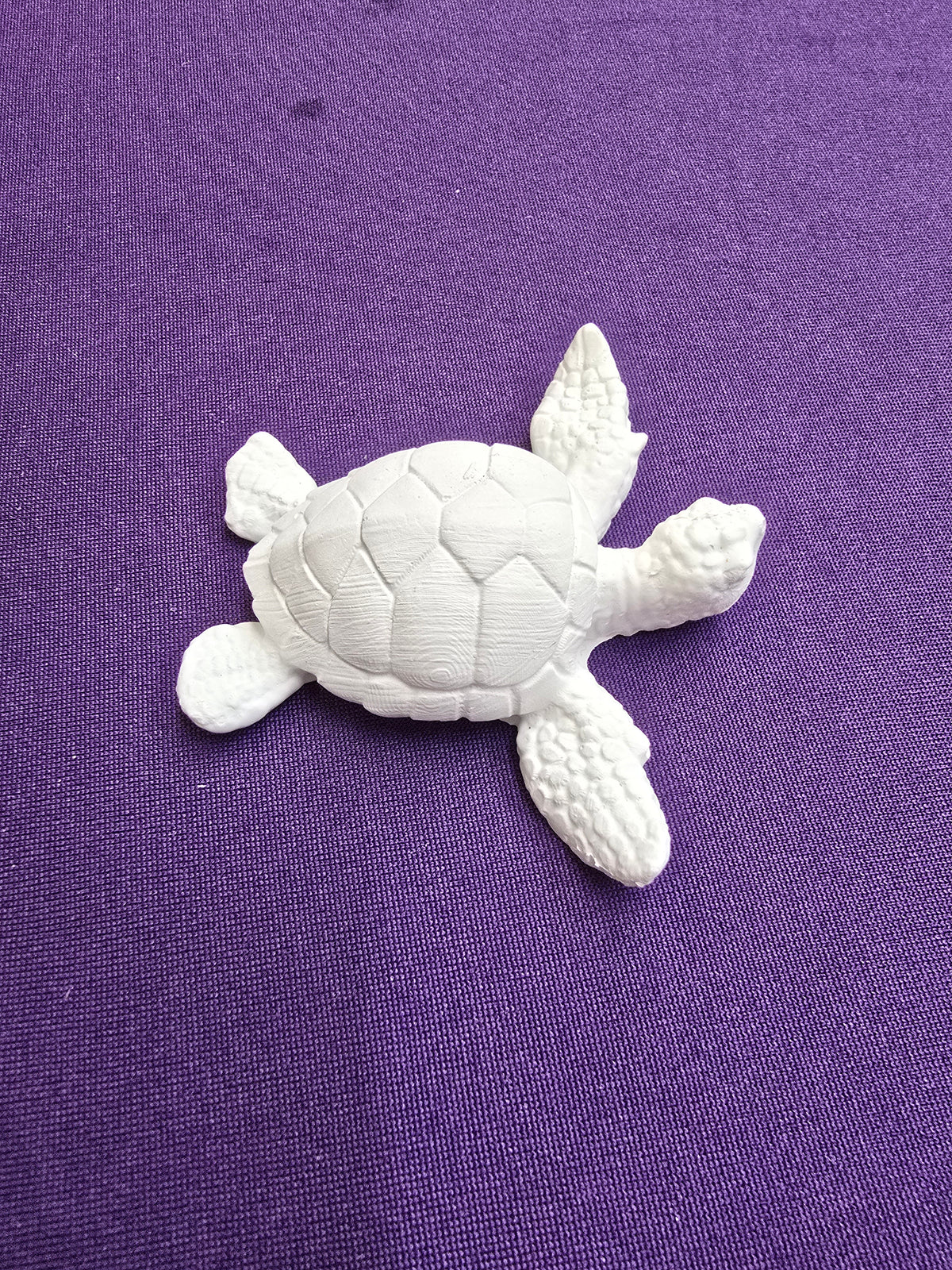 Small Turtle