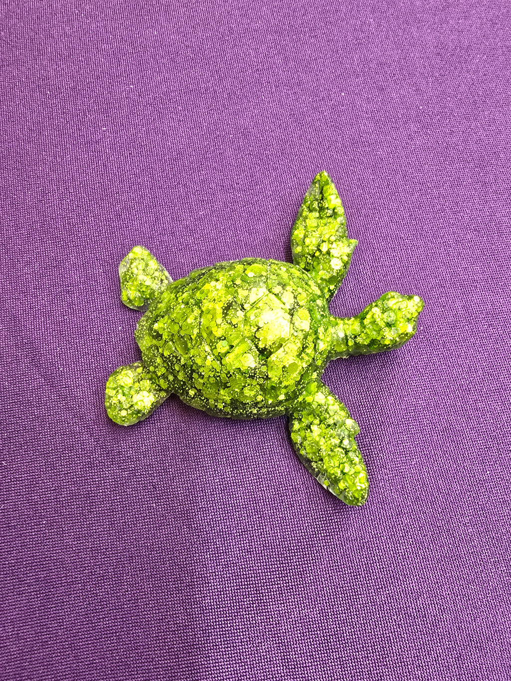 Small Sea Turtle