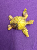 Small Sea Turtle