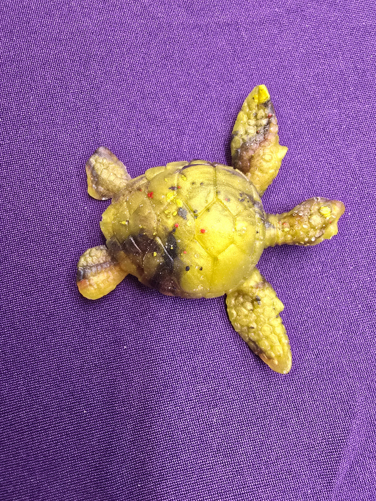 Small Sea Turtle