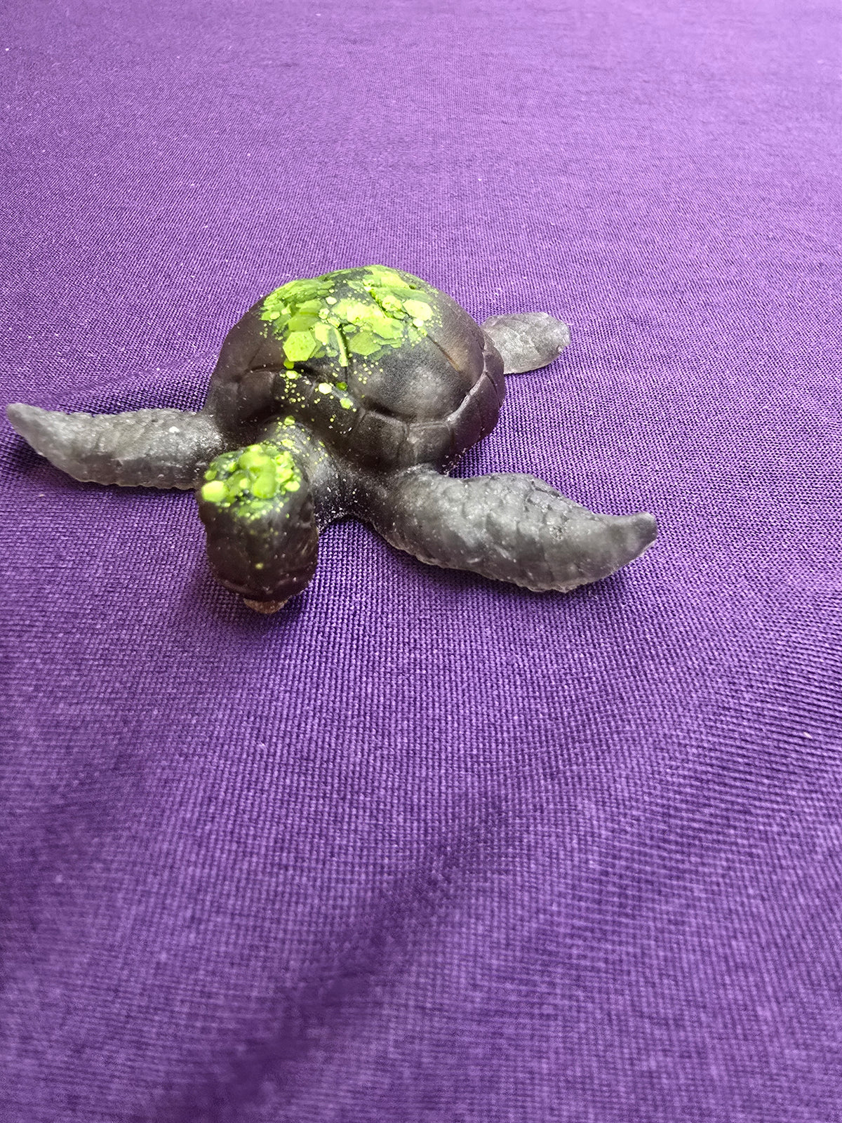 Small Sea Turtle