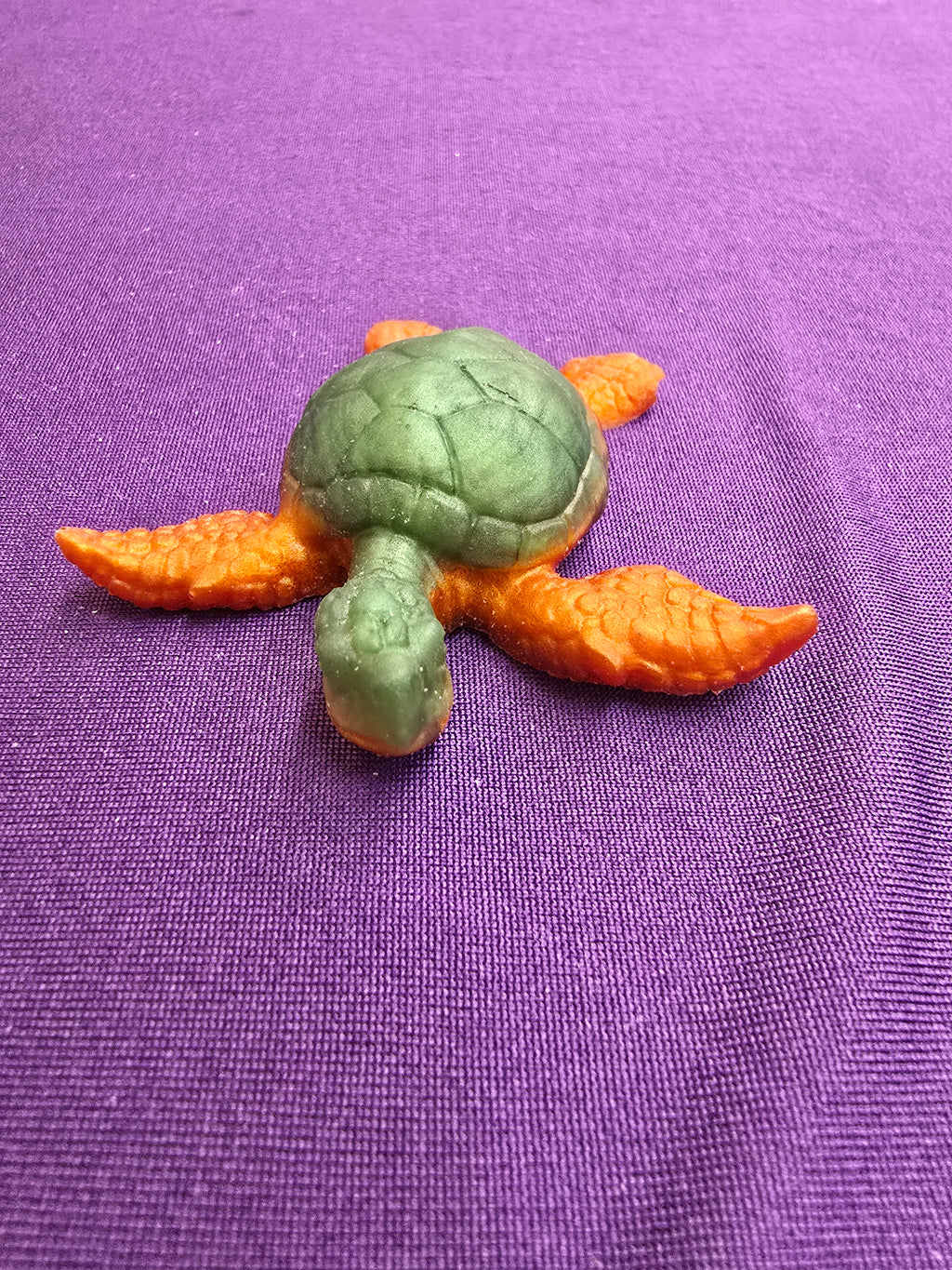 Small Sea Turtle