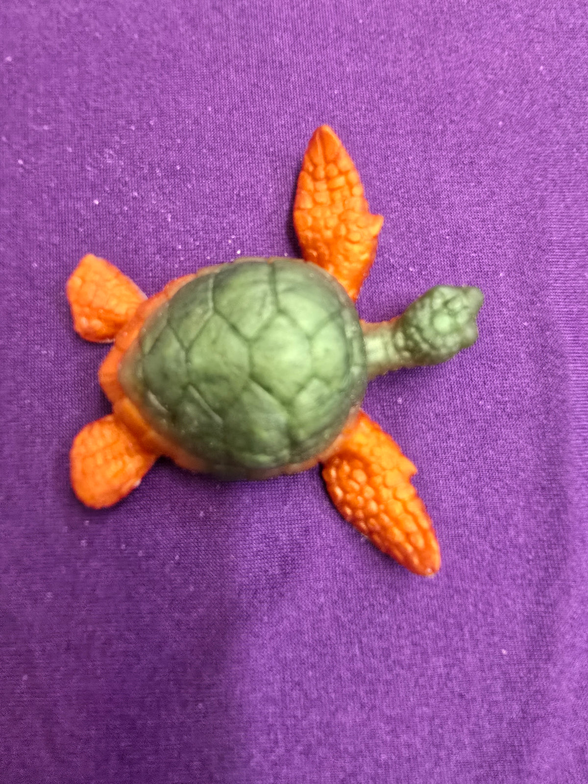 Small Sea Turtle