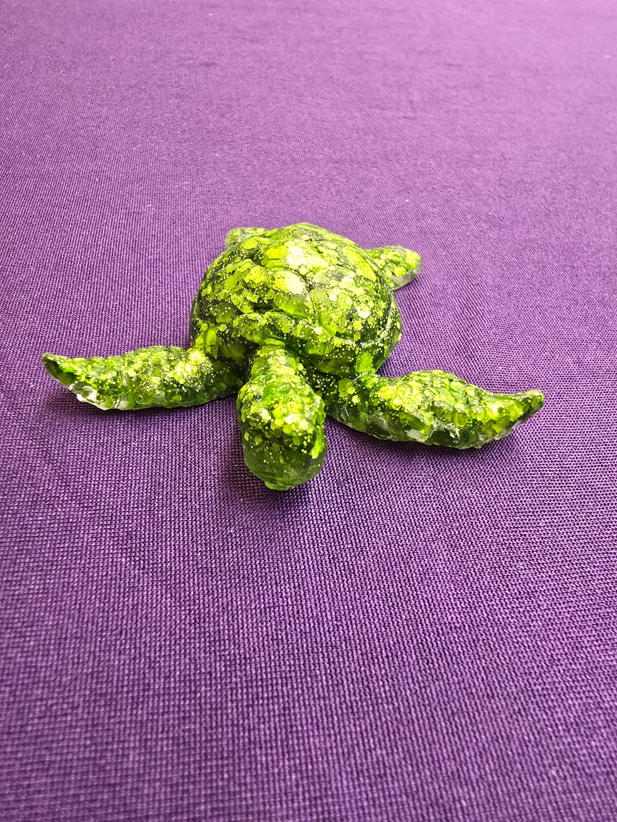 Small Sea Turtle