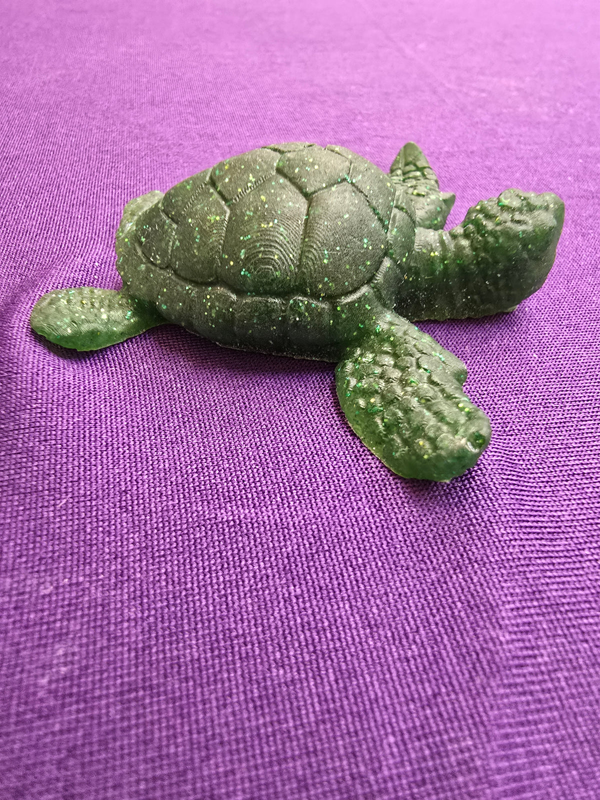 Small Sea Turtle