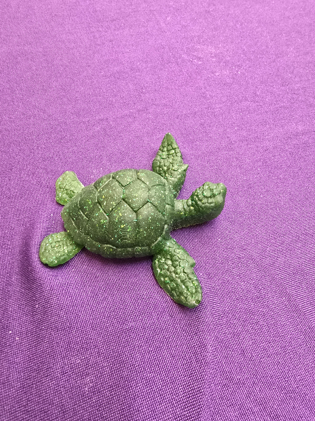 Small Sea Turtle