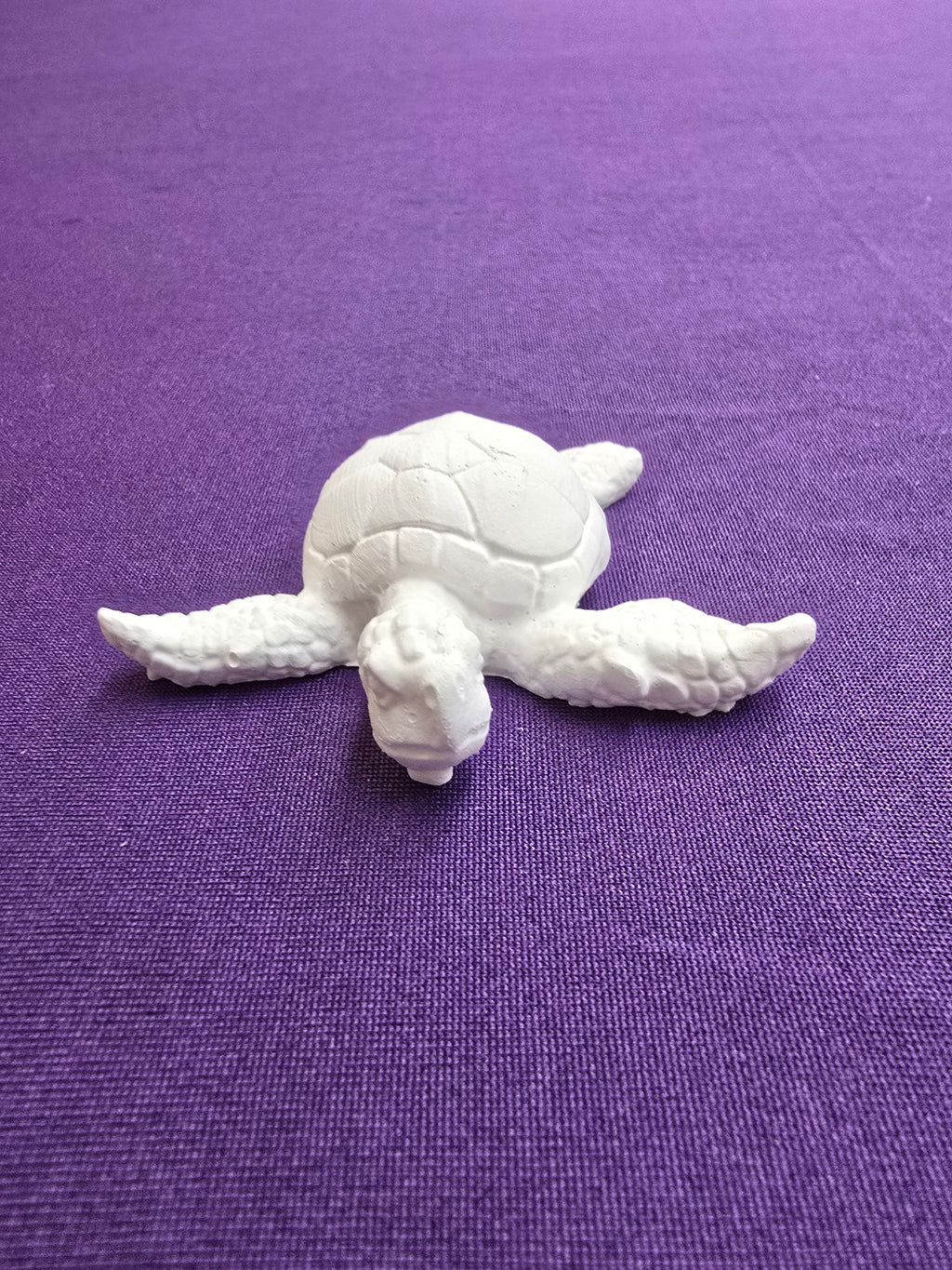 Small Turtle