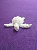 Small Turtle