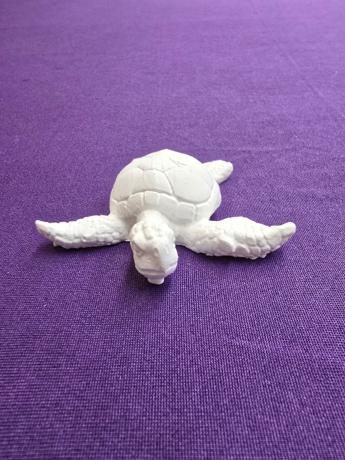 Small Turtle