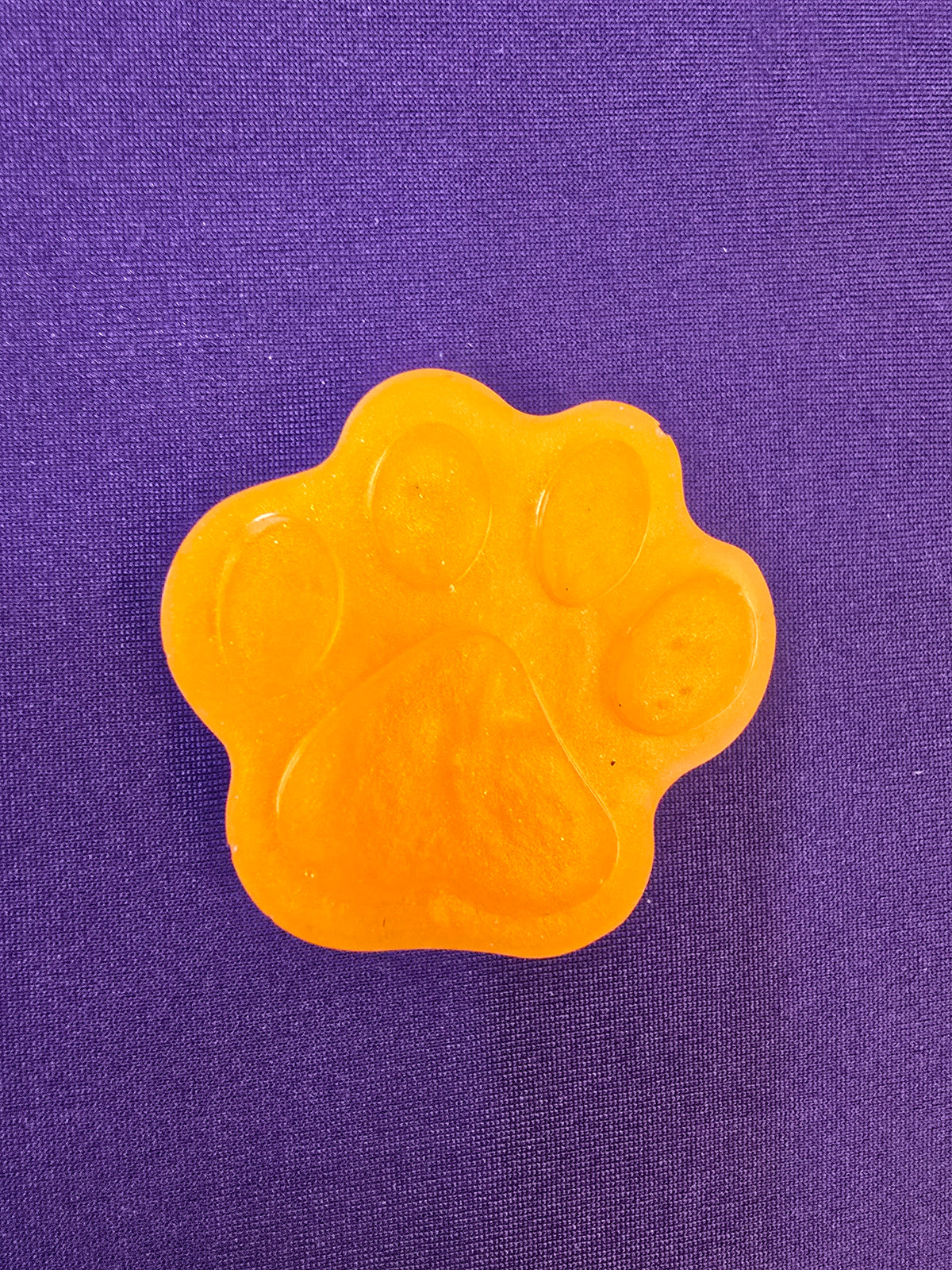 Puppy Paw Magnet