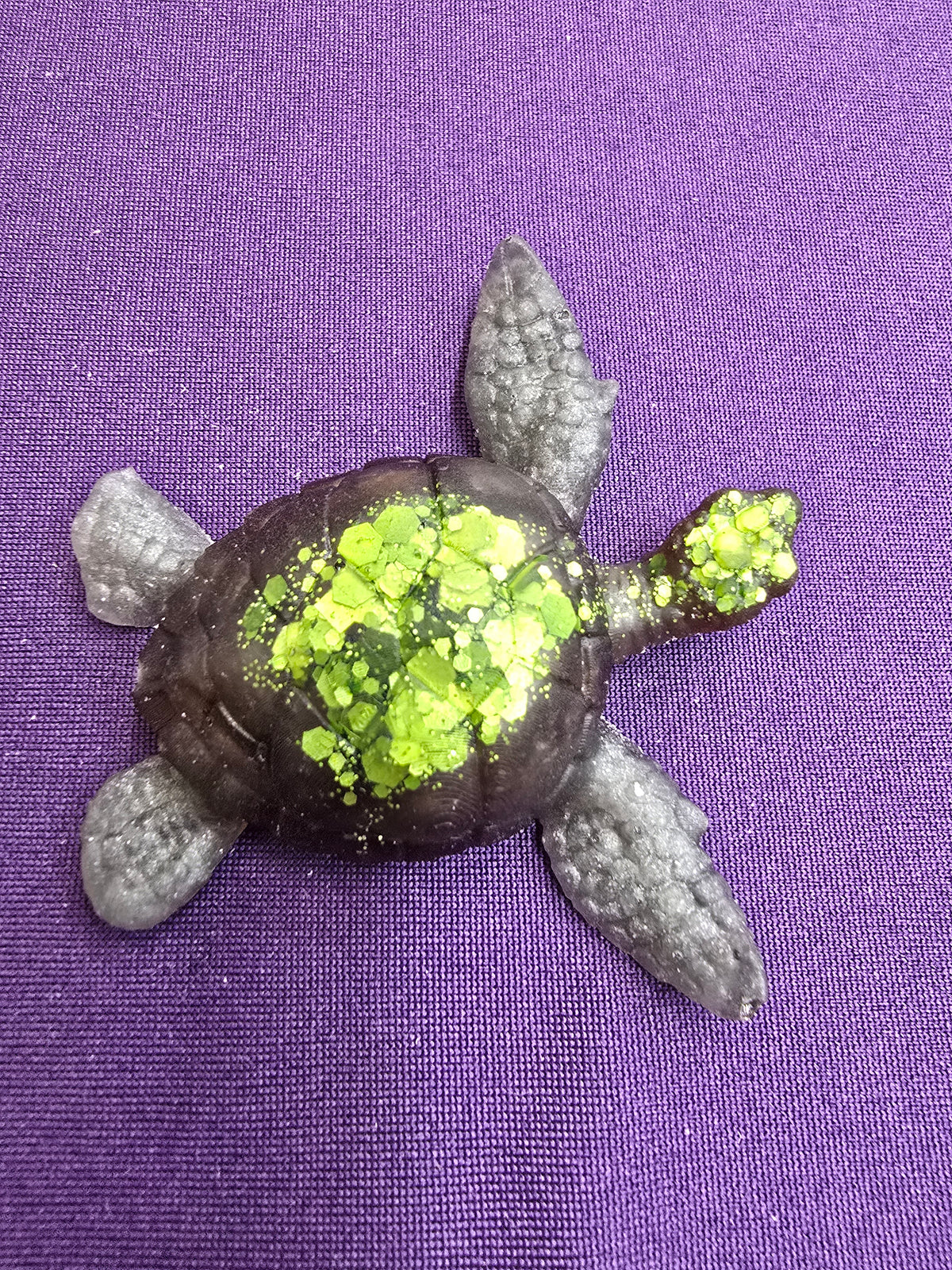 Small Sea Turtle