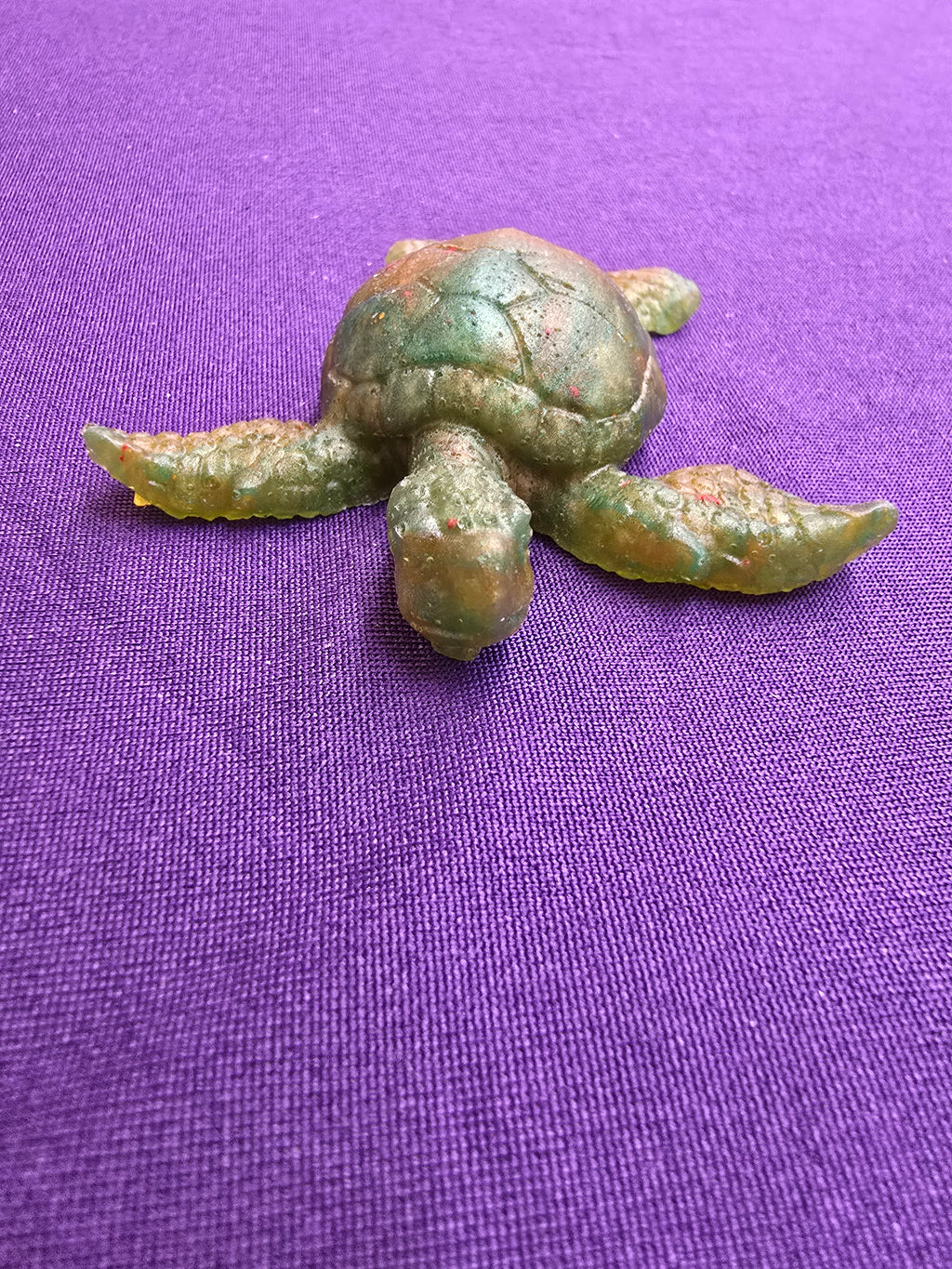 Small Sea Turtle