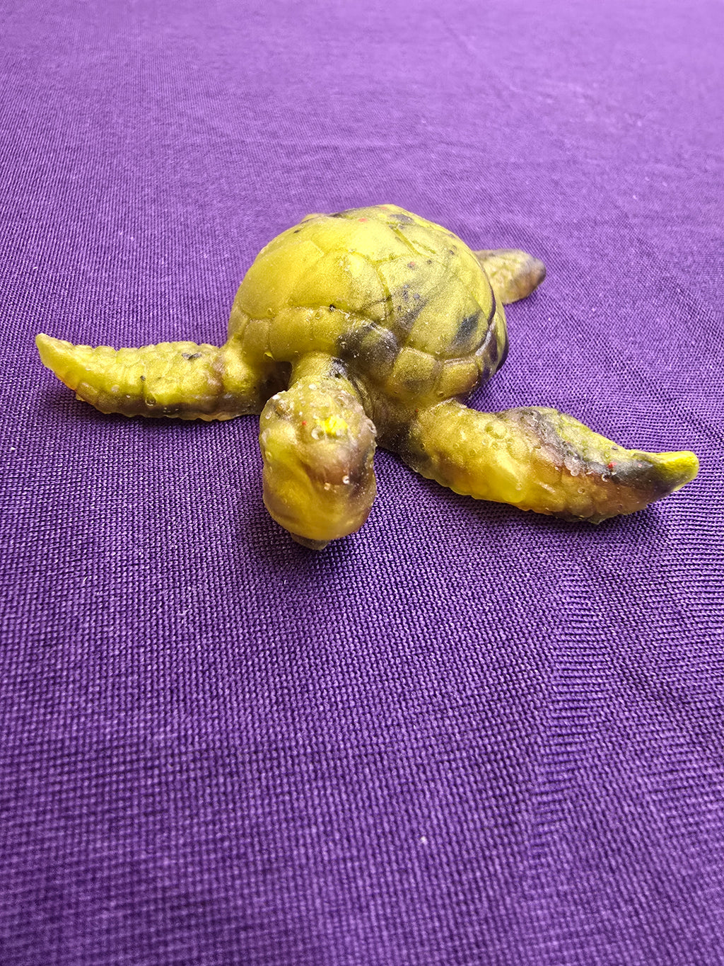 Small Sea Turtle