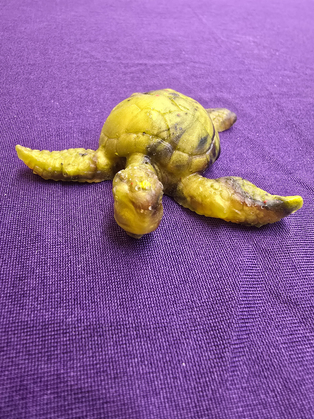 Small Sea Turtle